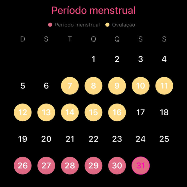 Menstrual Cycle